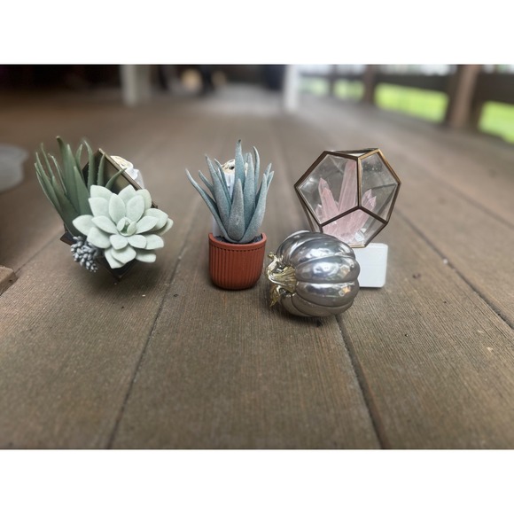 RARE 4 Bath&Body Works Wallflower Plug In Bundle Faux Succulent Crystal Pumpkin - Picture 2 of 11